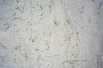 Concrete wall in the cracks