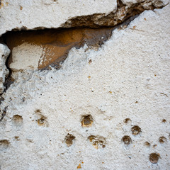 The texture of the holes in the old wall