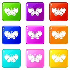 Butterfly icons set 9 color collection isolated on white for any design