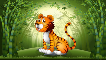 Obraz na płótnie Canvas Tiger in the bamboo forest