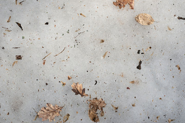 Just the ice is covered with dry leaves