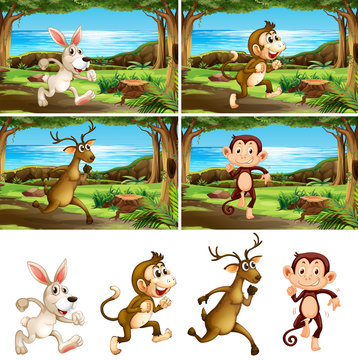 Set of animals running