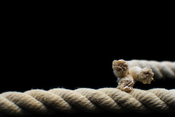 white rope isolated on a black background, the concept of the breaking load of the rope. run the end of the rope