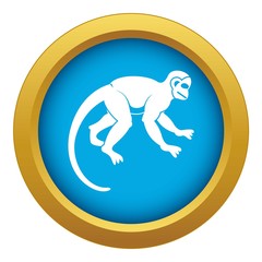 Capuchin monkey icon blue vector isolated on white background for any design