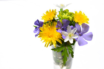Beautiful bouquet of spring flowers from meadow and forest 
