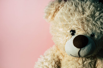 Toy teddy bear on a pink background