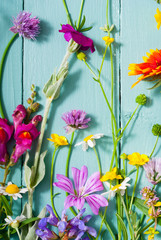 herbal and wildflowers on blue wooden table background