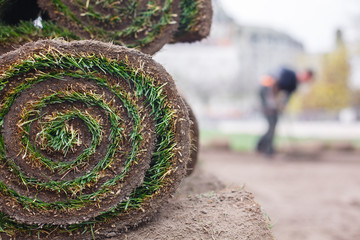 laying lawn palette.  New Lawn