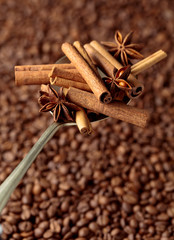 Spoon with anise and cinnamon sticks on the background of coffee beans.