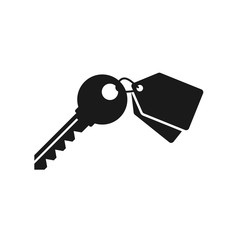 Key icon, vector with keychain