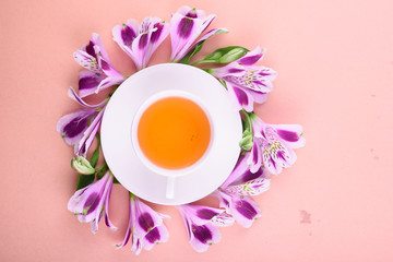 Beautiful flowers of astromeria. Herbal tea in a white cup and a white saucer on a pink background