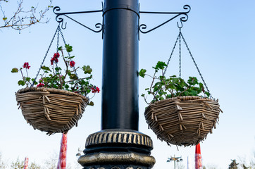 Colorful flower pots hanging lamp post beside the point of view on the sky