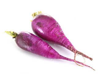 purple radish in studio