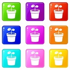 Plant icons set 9 color collection isolated on white for any design
