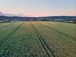 Stunning drone aerial landscape image of Englsh countryside at sunrise in Spring over rapeseed canola fields