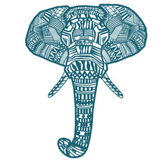 Elephant head close up.