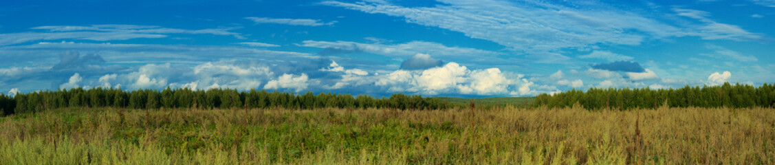 Fototapeta na wymiar Long ridge of clouds against the blue sky, in the foreground field overgrown with grasses, in the background deciduous forest