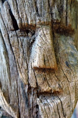 t&ecirc;te sculpt&eacute;e en bois