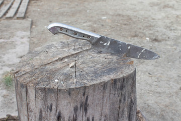 Knife in the stump. Agriculture. Stump for killing birds.