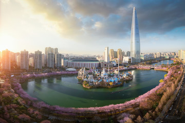Sunset over cherry blossom park and tower background  in Seoul city