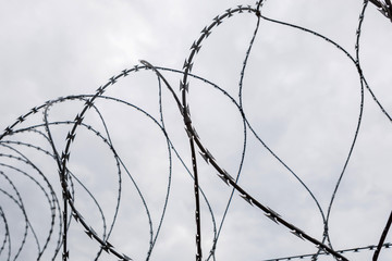 Fence with a barbed wire
