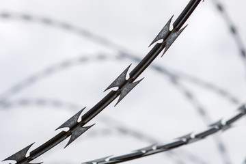 Fence with a barbed wire