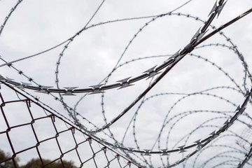 Fence with a barbed wire