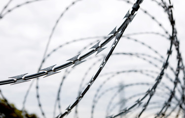 Fence with a barbed wire
