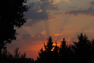 Abendhimmel Elisabethaue