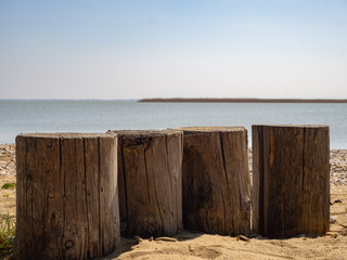 Obraz na płótnie Canvas Timber pile on the beach