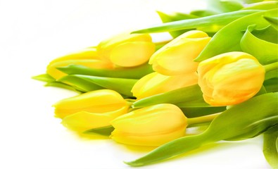 bouquet of yellow tulips on a white background, close-up, selective focus