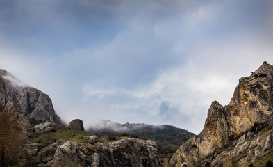 clouds and fog with rain