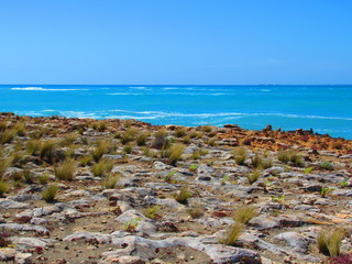 Sea and landscape in Robe, South Australia 