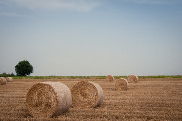 Fototapeta premium Bales of hay