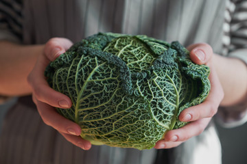 Obraz premium Female hands holding green lettuce
