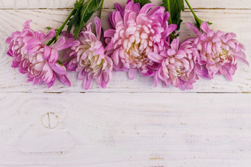Beautiful chrysanthemums on white wooden background. Top view, copy space