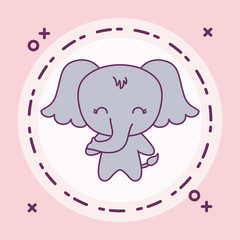 cute elephant animal with frame circular