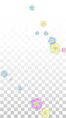 Colorful Vector Realistic Petals Falling on Transparent Background.  Spring Romantic Flowers Illustration. Flying Petals. Sakura Spa Design. Blossom Confetti. Design Elements for Wedding Decoration.