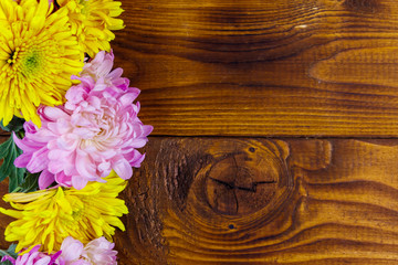 Beautiful chrysanthemums on wooden background. Top view, copy space