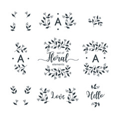 Set of hand drawn vector floral elements.	