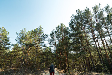 Fototapeta premium New wooden road leading from the beach of Baltic Sea gulf with white sand to the dune forest with pine trees