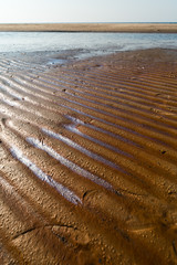 Dessert like textured sand - Baltic sea gulf beach with white sand in the sunset