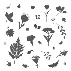 Collection of flowers and plants. Used for various types of design. Linear style. Vector illustration