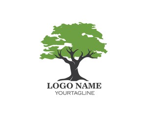 Obraz premium Tree leaf vector logo design, eco-friendly