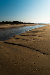 Dessert like textured sand - Baltic sea gulf beach with white sand in the sunset