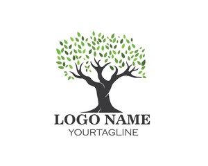 Tree leaf vector logo design, eco-friendly
