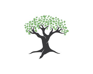 Tree leaf vector logo design, eco-friendly