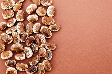 Brown soybean beans close-up on brown background. Place for text.