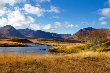 Autumn Day Near Loch Ba, Scotland, Roadside Viewing Location, HIghlands