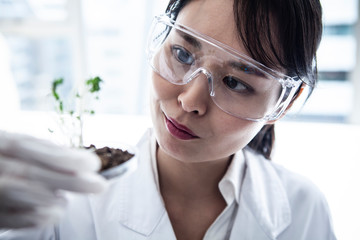 植物の培養をする女性科学者